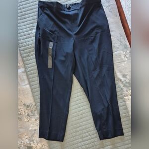 Banana Republic Factory Navy Trousers